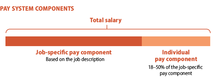 Pay system components: Total salary = job-specific pay component (based on the job description) +  individual pay component (18-50% of the job-specific pay component).