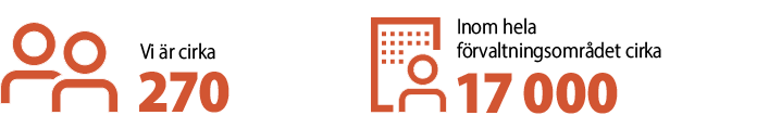 Vi är cirka 270, inom hela förvaltningsområdet cirka 15700.