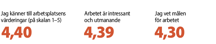 Jag känner till arbetsplatsens värderingar (på skalan 1-5) 4,40, arbetet är intressant och utmanande 4,39 , jag vet målen för arbetet 4,30.